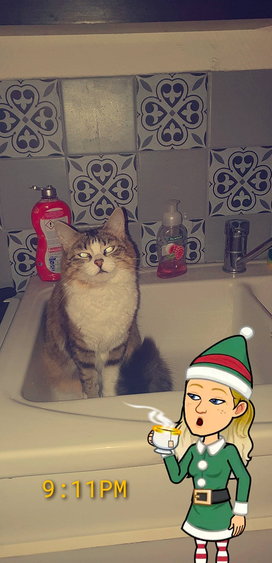 Olly participe au concours pour gagner de l'argent avec cette photo : asian, carnivore, cartoon, cat, domestic_short_haired_cat, european_shorthair, felidae, fictional_character, illustration, small_to_medium_sized_cats, whiskers