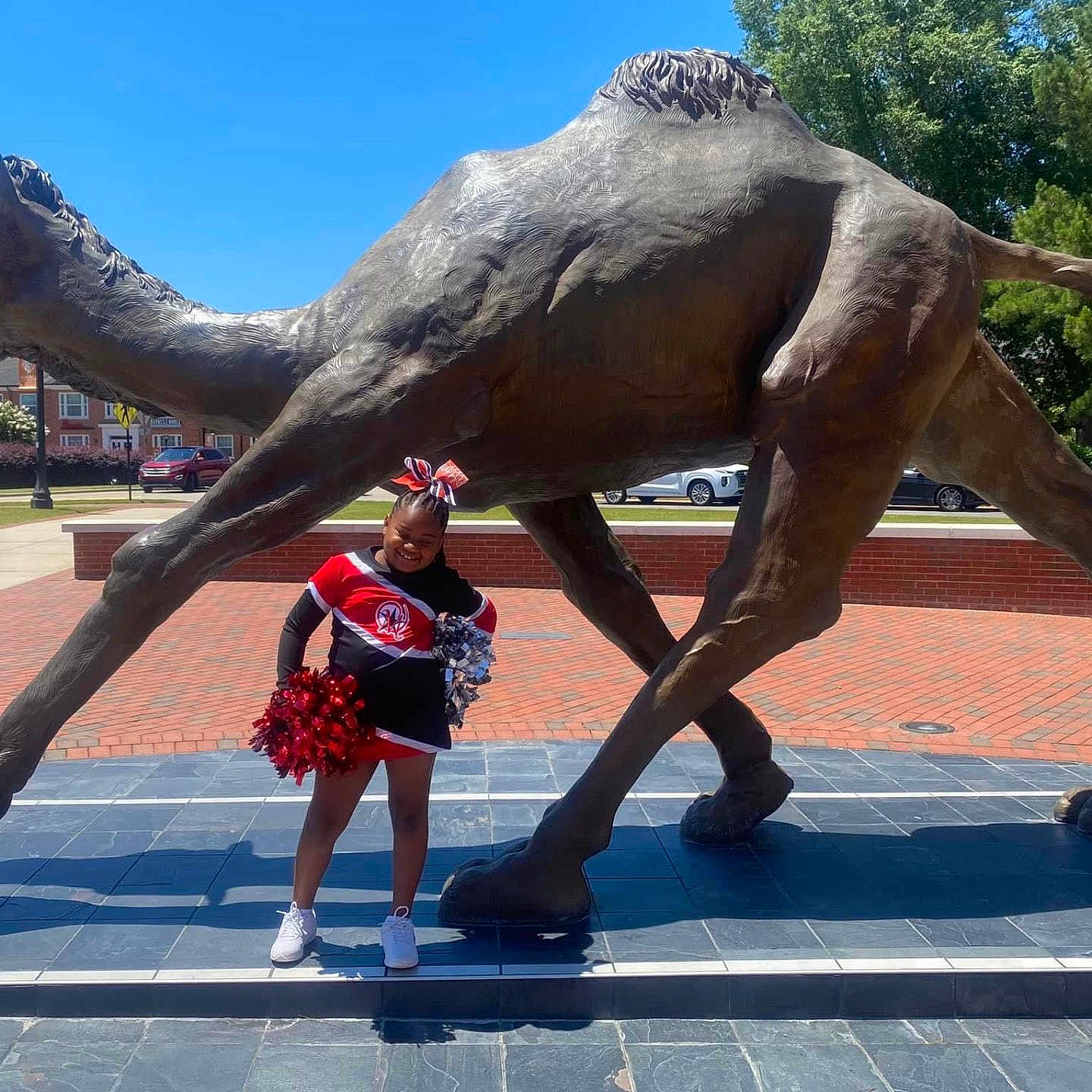 Harmony is registered to the contest to win money with this photo: animal, camel, canine, car, clothing, dog, female, girl, grass, nature, outdoors, park, people, person, pet, skirt, teen, transportation, urban, vehicle