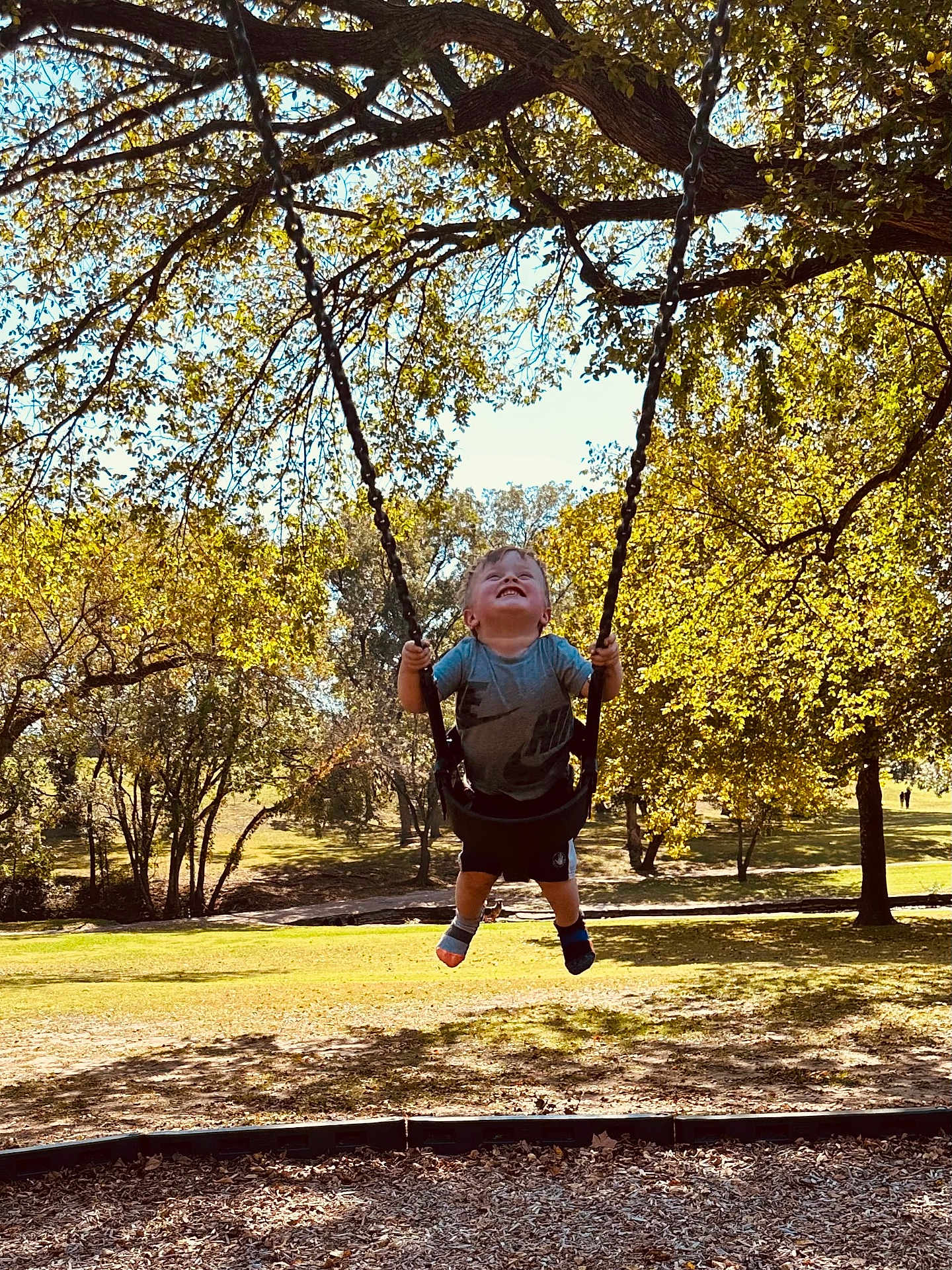 Silas Kane is registered to the contest to win money with this photo: baby, child, clothing, cute, daytime, footwear, fun, grass, happy, leaves, nature, outdoor, park, playground, playing, smiling, sunlight, swing, toddler, trees