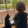 baby, kitten, cat, child, mesh_screen, door, floor, wood, indoor, outdoor, window, back_view, pet, animal, curious, sitting, sunlight, shadow, quiet, companions
