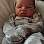 Dexter is registered to the contest to win money with this photo: newborn, baby, sleeping, swaddled, blanket, hedgehog_pattern, cozy, infant, peaceful, soft_lighting, face, closed_eyes, wrapped, indoors, resting, cute, child, person, bed, comfort