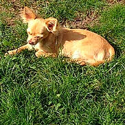 Jersey a rejoint le concours — aidez-le/la à gagner de superbes lots !