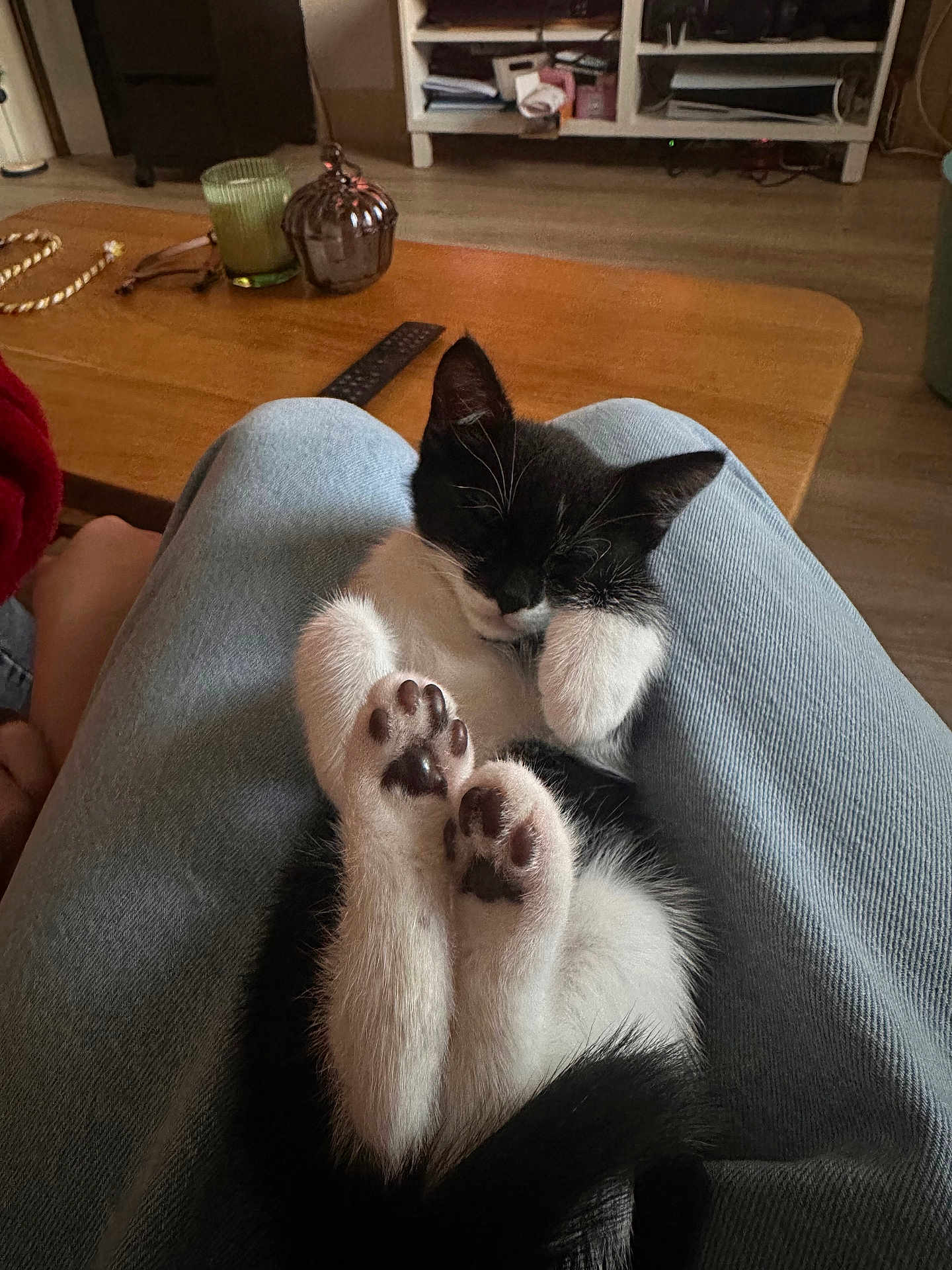 Freya a rejoint le concours — aidez-le/la à gagner de superbes lots ! kitten, cat, sleeping, paws, black_and_white, lap, indoor, cozy, wooden_table, remote_control, candle, furniture, floor, relaxation, pet, animal, cute, rest, home, comfort