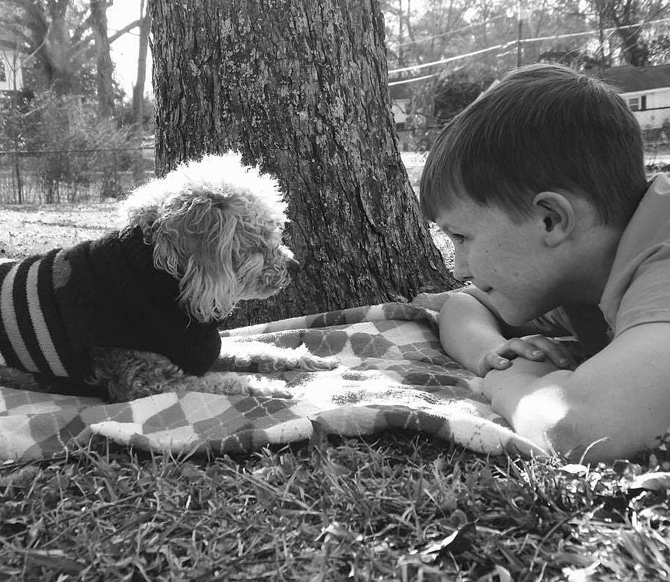 Chipper joined the competition — help win amazing prizes! adaptation, black_and_white, child, fun, grass, monochrome, person, photograph, photography, play, snapshot, tree