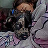 blanket, blue_eyes, close_up, comfort, companion, couch, cozy, dog, domestic_animal, face, fur, indoor, person, pet, relaxed, resting, sleeping, snuggling, spotted_coat, warm