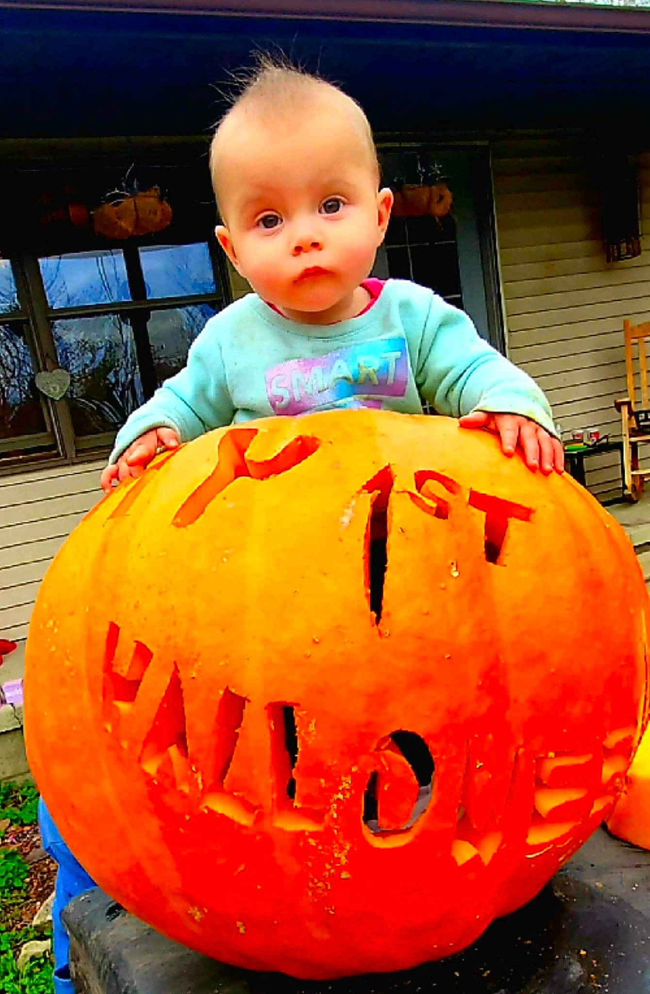 Raine is registered to the contest to win money with this photo: _and_melon_family, _gourd, calabaza, carving, child, cucumber, cucurbita, fruit, gourd, jack_o_lantern, orange, person, plant, produce, pumpkin, squash, toddler, trick_or_treat, vegetable, winter_squash