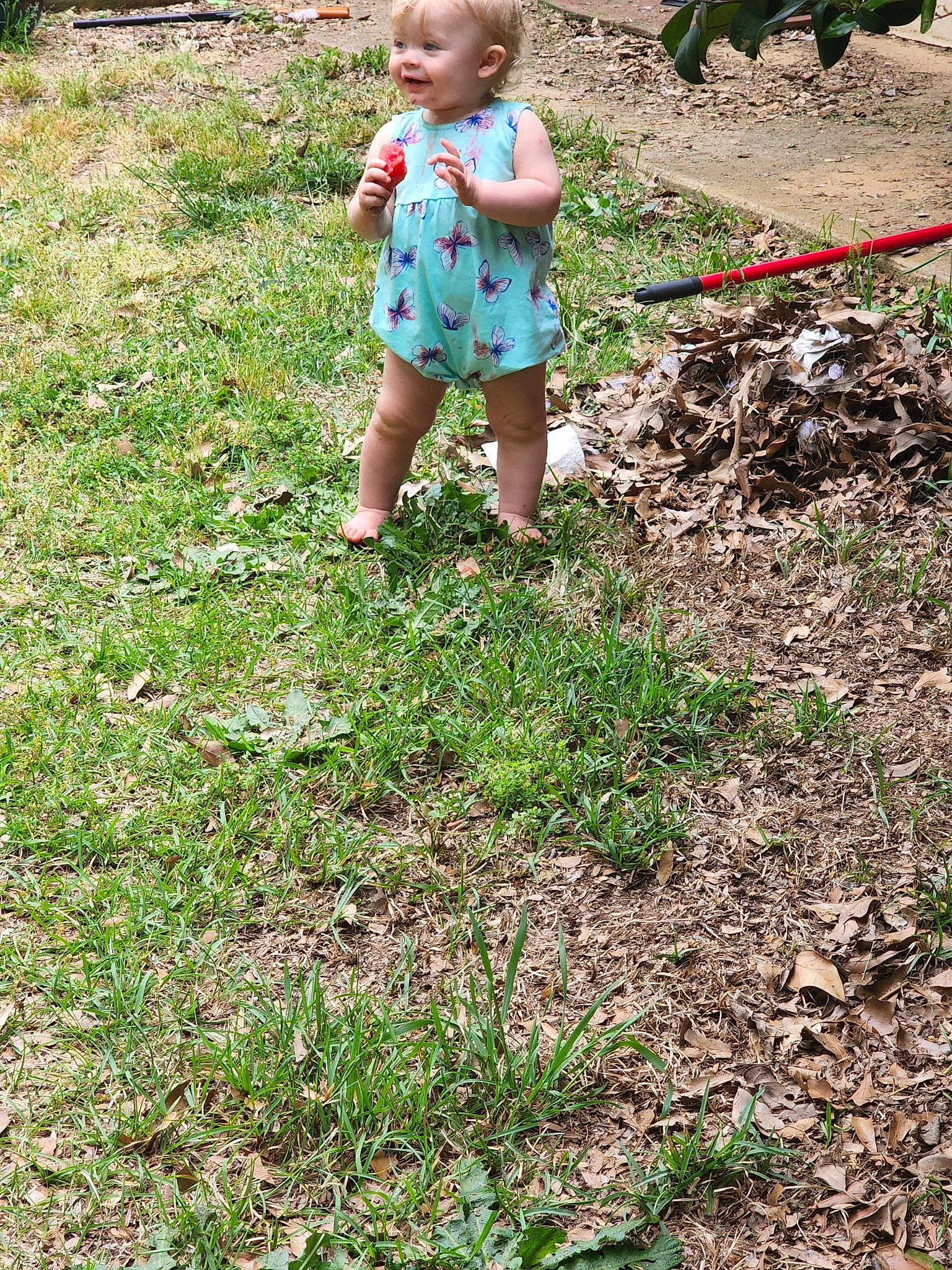 Emma is registered to the contest to win money with this photo: baby_toddler_clothing, child, garden, gardening, grass, grass_family, grassland, green, groundcover, happy, landscape, lawn, people_in_nature, person, plant, plantation, shrub, smile, soil, t_shirt