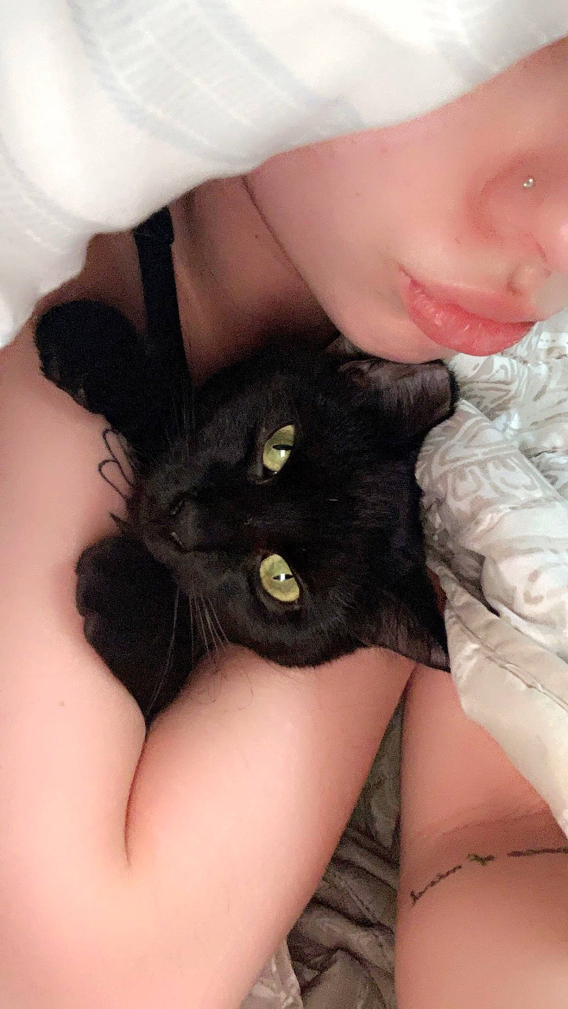 Nora joined the competition — help win amazing prizes! arm, black_hair, carnivore, cat, comfort, ear, eyelash, felidae, gesture, human_body, iris, nail, neck, skin, sleeve, small_to_medium_sized_cats, snout, thigh, trunk, whiskers