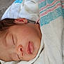 newborn, baby, sleeping, blanket, closeup, face, infant, soft, peaceful, wrapped, child, person, cute, resting, skin, ear, nose, mouth, head, quiet