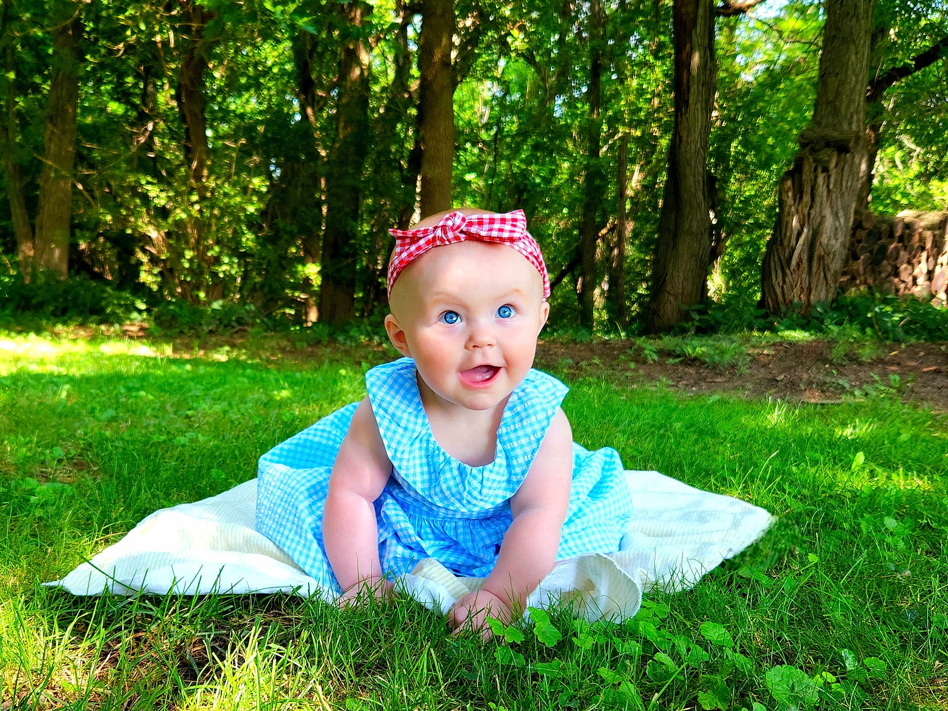 Lorraina is registered to the contest to win money with this photo: backyard, clothing, face, grass, green, grove, head, land, nature, outdoors, park, person, photography, plant, portrait, summer, tree, vegetation, woodland, yard
