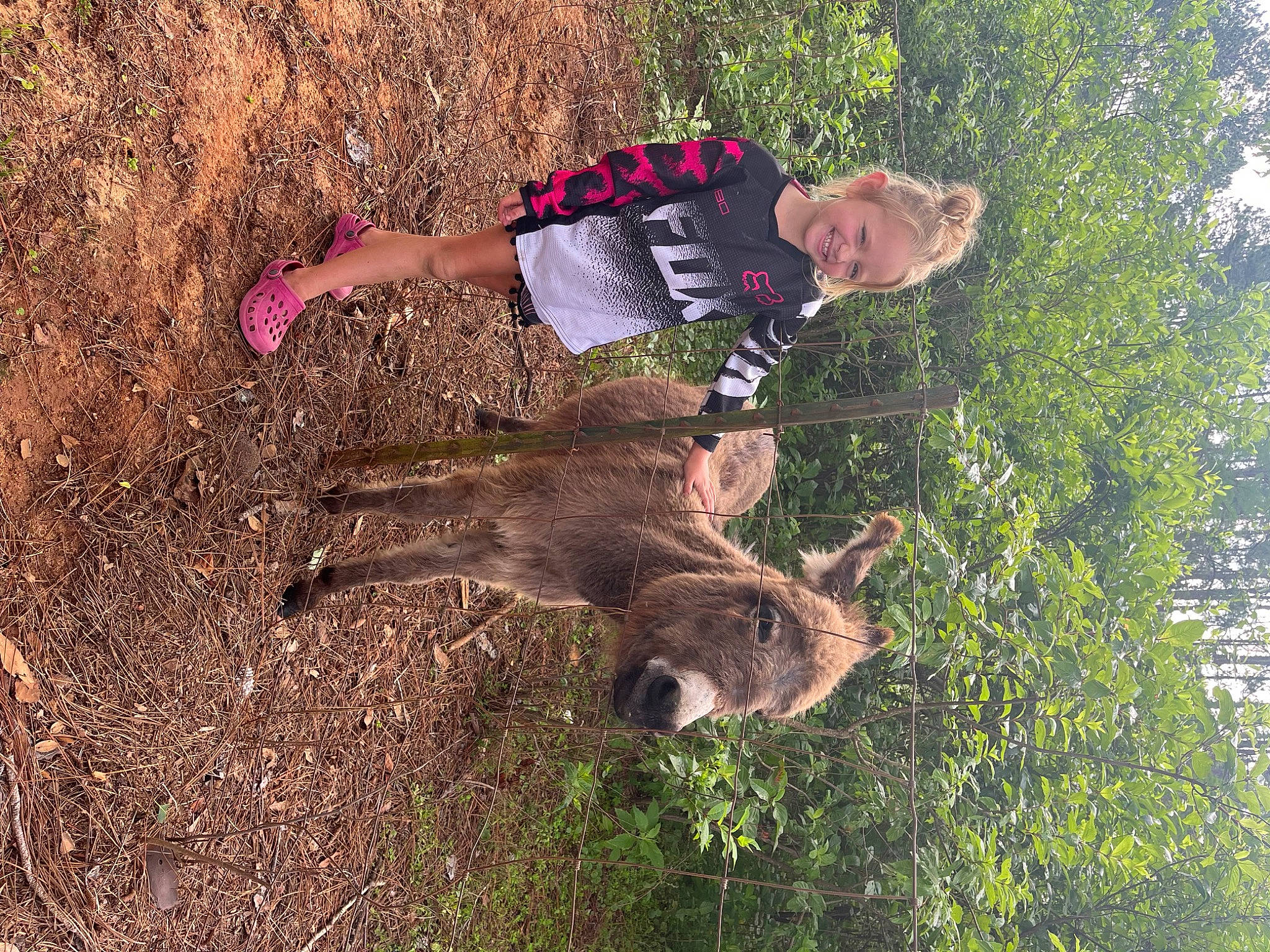Westlyn is registered to the contest to win money with this photo: carnivore, grass, grassland, joy, landscape, people_in_nature, person, plant, soil, sporting_group, terrestrial_animal, tree, trunk