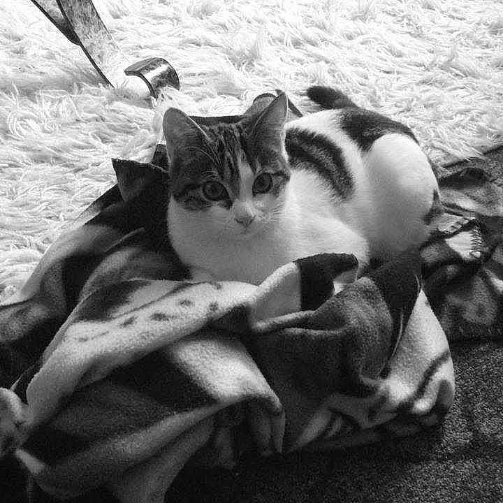 Lilly is registered to the contest to win money with this photo: