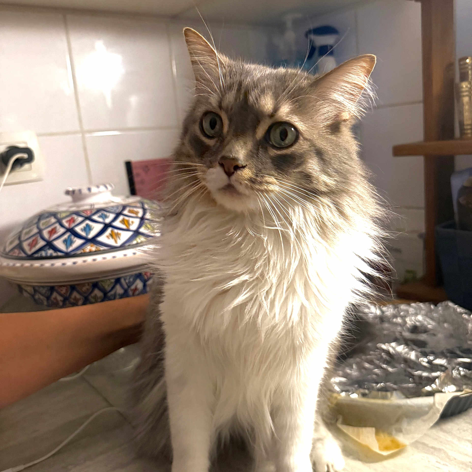 Chico