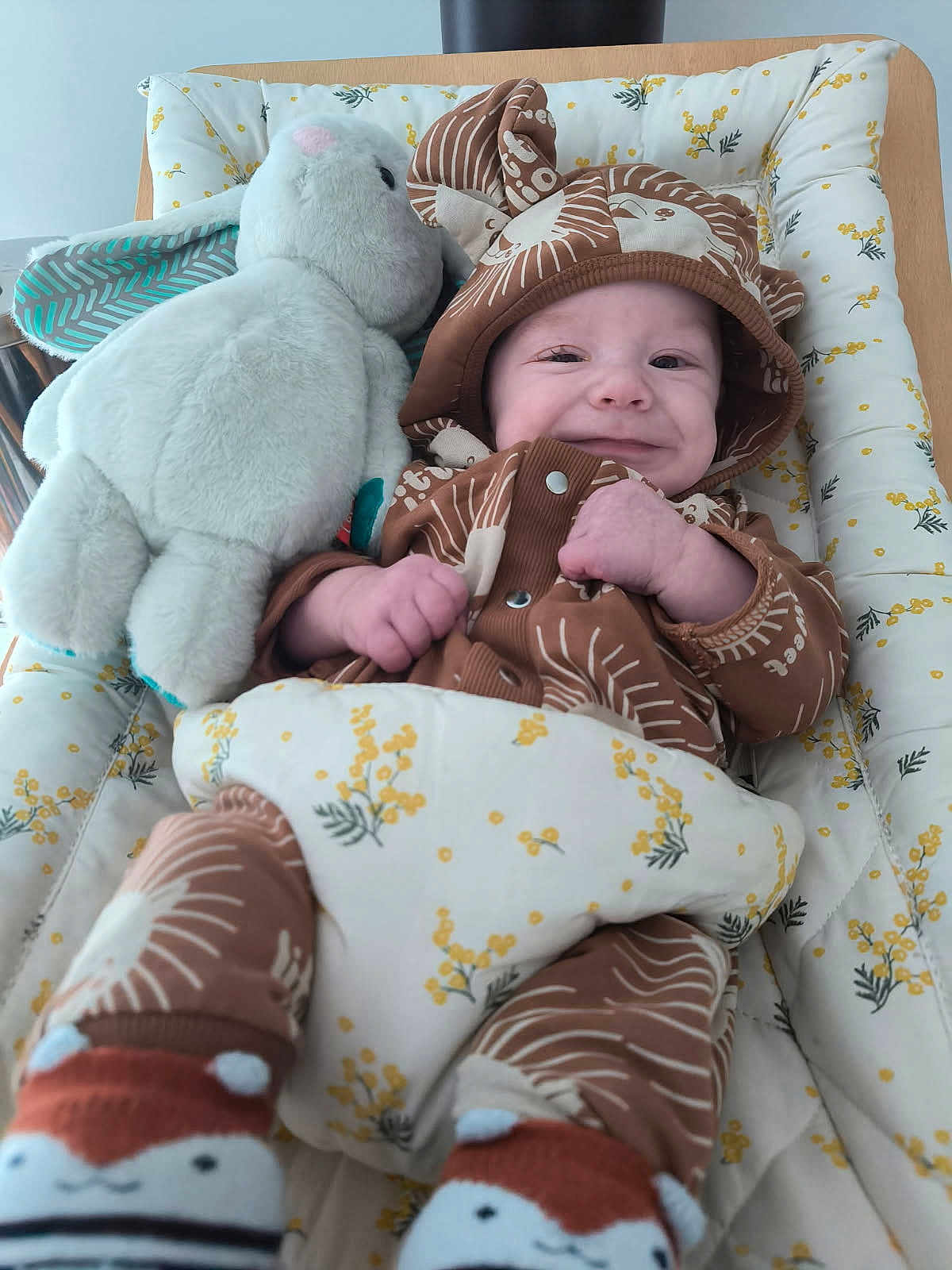 Augustin participe au concours pour gagner de l'argent avec cette photo : baby, child, smiling, onesie, hood, stuffed_animal, bunny, blanket, padded, floral_pattern, cute, happy, cuddling, toy, indoors, sleeping_bag, face, person, infant, cozy