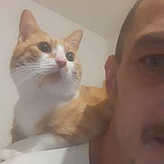 Chumly a rejoint le concours — aidez-le/la à gagner de superbes lots ! cat, person, shoulder, indoor, closeup, ginger_cat, white_cat, pet, face, mustache, casual, comfort, companionship, looking_away, wall, tshirt, human, feline, domestic_animal, portrait