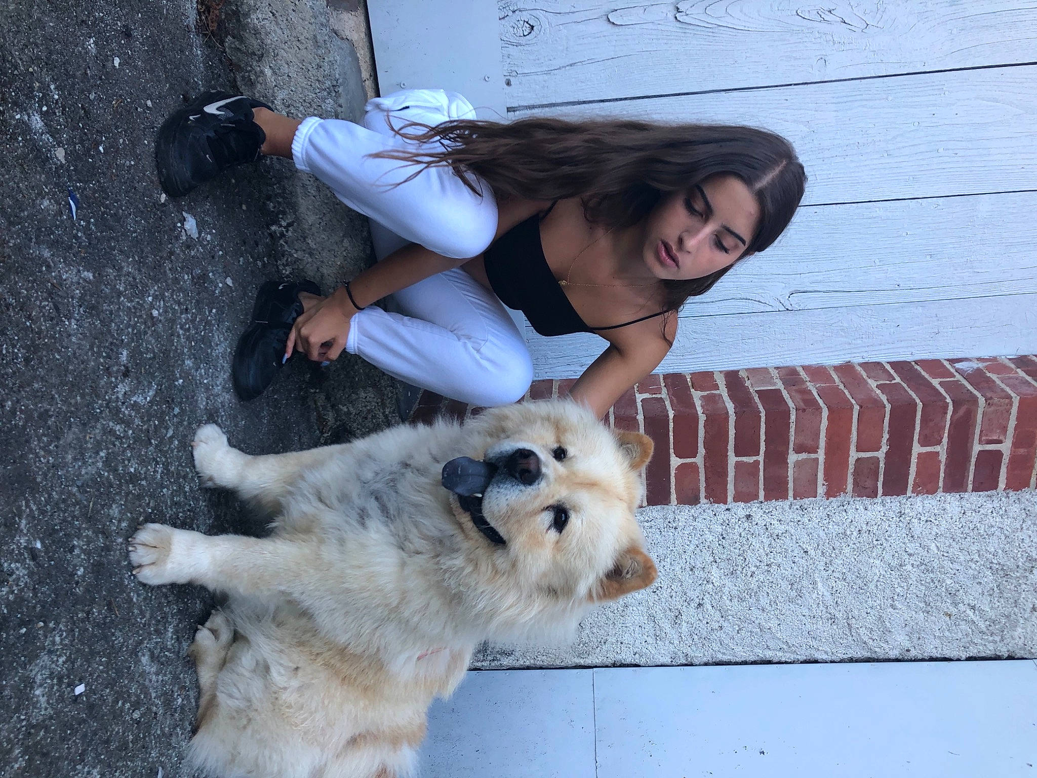 Bouboule participe au concours pour gagner de l'argent avec cette photo : canidae, carnivore, companion_dog, concrete, dog, dog_breed, fawn, fur, human_leg, leash, livestock_guardian_dog, paw, road_surface, sandal, sidewalk, sporting_group, street_dog, sunglasses, tail, working_dog