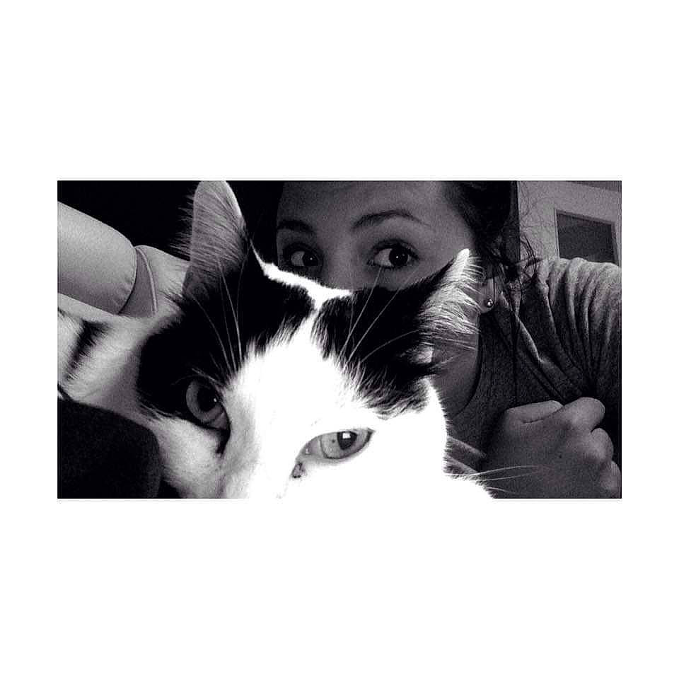 Pepito participe au concours pour gagner de l'argent avec cette photo : beauty, black_and_white, carnivore, cat, ear, eye, facial_expression, felidae, human, kitten, leg, love, nose, photo_caption, photograph, photography, selfie, small_to_medium_sized_cats, snapshot, whiskers