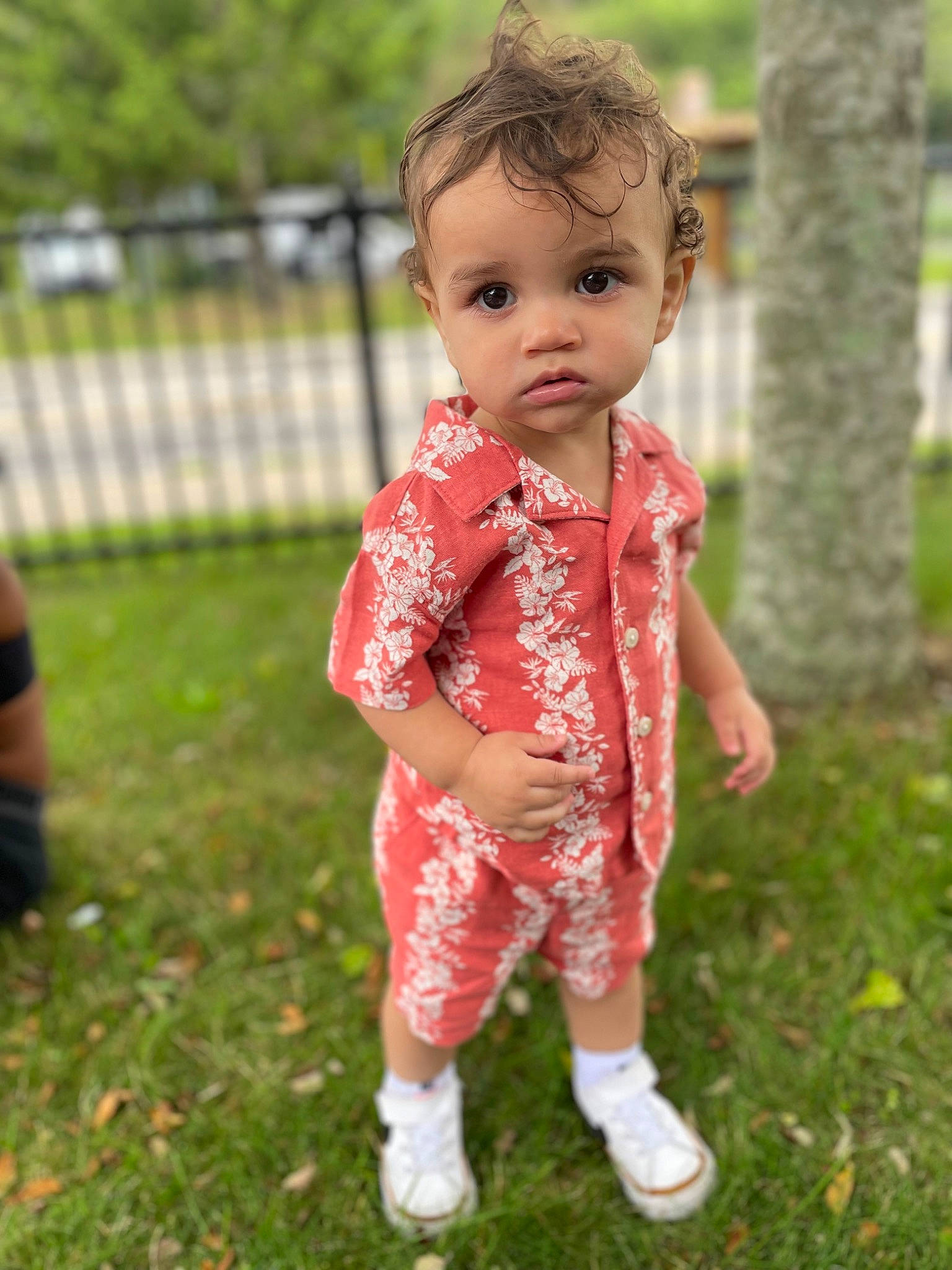 Alonzo joined the competition — help win amazing prizes! baby, baby_toddler_clothing, child, fence, fun, garden, grass, grass_family, grassland, happy, leisure, pattern, people_in_nature, person, plant, play, recreation, sleeve, spring, toddler