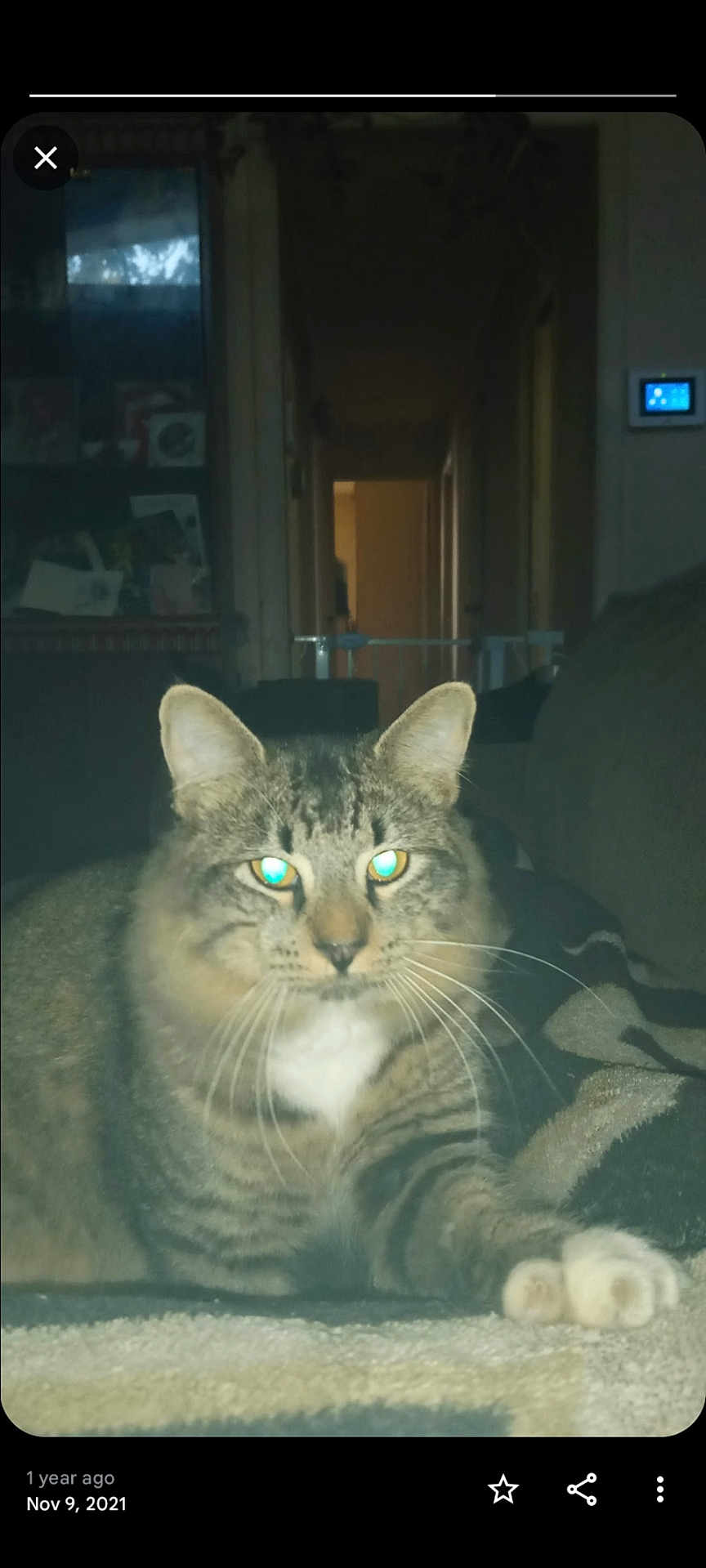 Garfield
