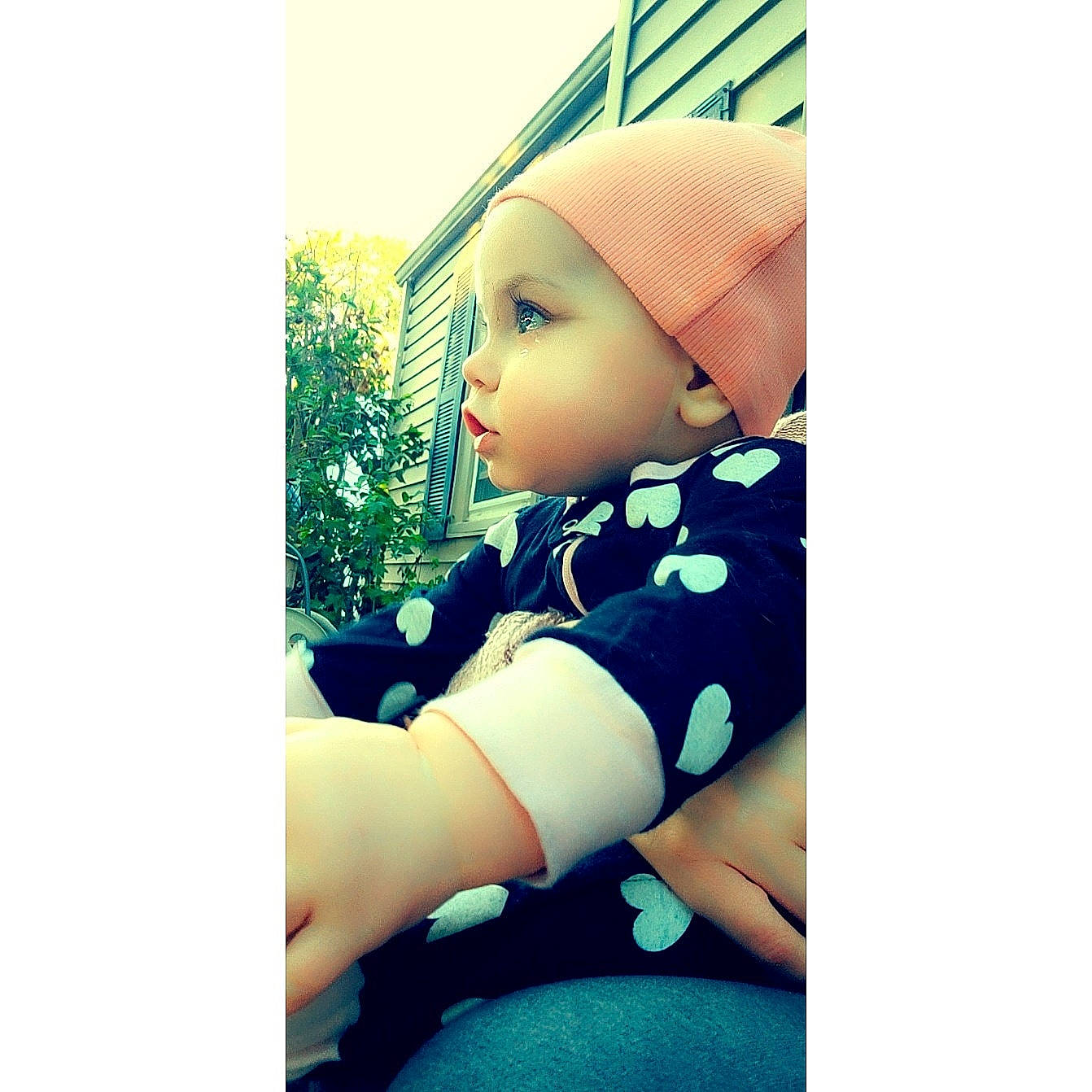 Parker joined the competition — help win amazing prizes! beauty, cap, chin, doll, electric_blue, electronic_device, eye, eyebrow, eyelash, face, font, happy, head, headwear, iris, long_hair, pattern, person, plant, skin