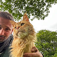 Leo joined the competition — help win amazing prizes! man, cat, outdoor, greenery, tree, leaf, animal, pet, portrait, fluffy_cat, orange_cat, smile, human, nature, daylight, closeup, whiskers, fur, casual, happy