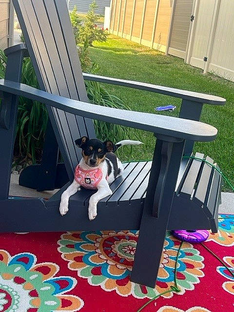 Bella is registered to the contest to win money with this photo: carpet, chair, design, floor, flooring, fun, games, grass, handrail, hat, leisure, linens, outdoor_furniture, outdoor_table, plant, play, porch, public_space, recreation, sunglasses