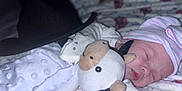 Violet is registered to the contest to win money with this photo: newborn, baby, sleeping, plush_toy, cow, hat, striped_hat, blanket, soft_texture, cozy, infant, cute, peaceful, indoors, resting, child, clothing, pink, white, fabric