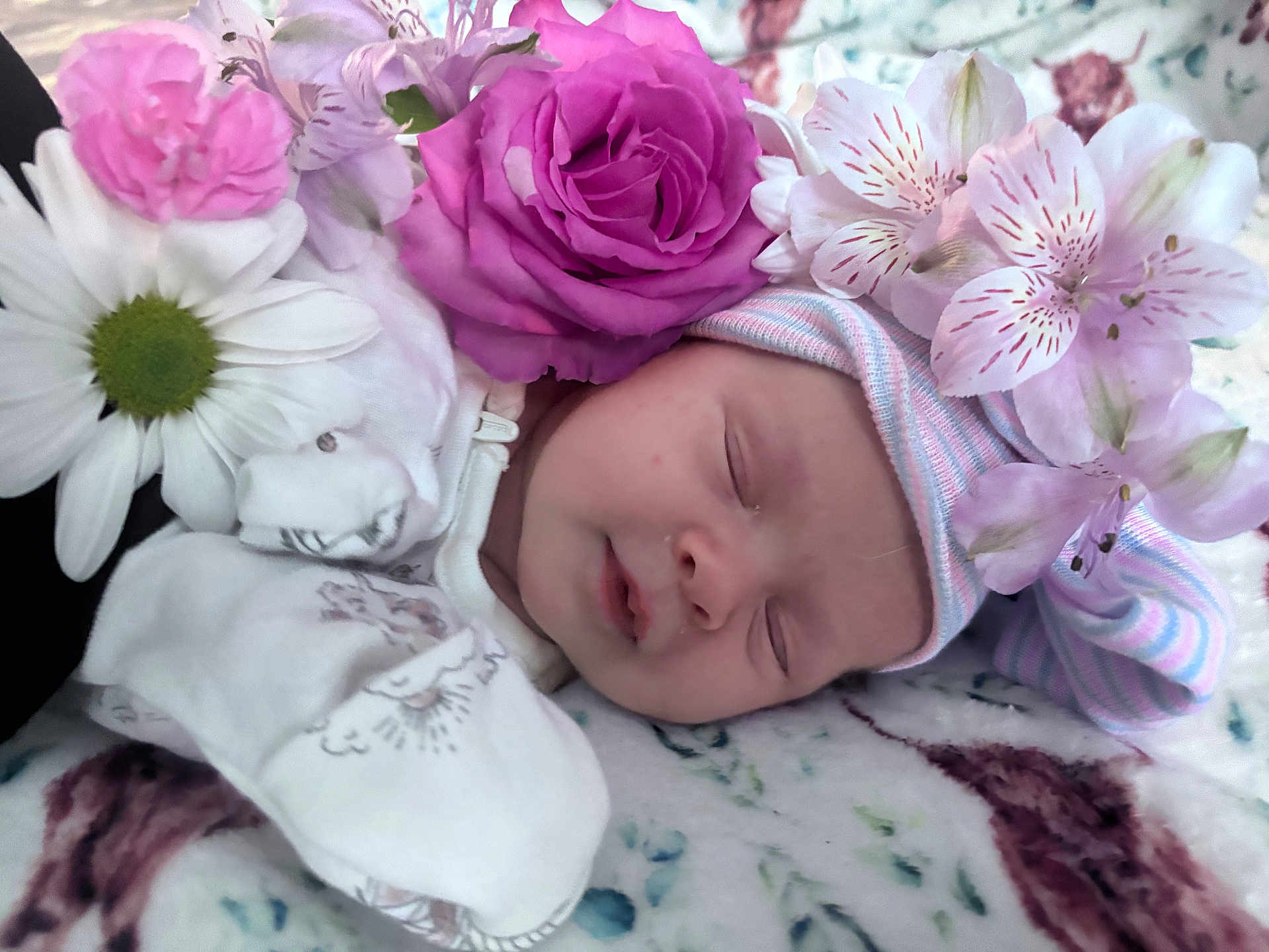 Violet is registered to the contest to win money with this photo: baby, sleeping, flower, hat, pink_flower, white_flower, floral, newborn, cute, soft, blanket, peaceful, face, infant, closeup, skin, headwear, nature, rest, adorable