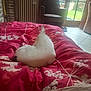 Urson participe au concours pour gagner de l'argent avec cette photo : cat, bed, blanket, indoor, chair, radiator, window, door, garden, greenery, red, white_cat, furniture, cozy, relaxing, animal, pet, home, natural_light, curled_up