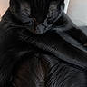 animal, black_cat, black_fur, calm, cat, close_up, companion, cozy, curled_up, cute, fur, head, human_hair, indoors, pet, quiet, relaxation, resting, sleeping_cat, soft_texture