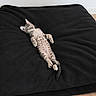 animal, black_blanket, cat, cozy, cute, domestic_cat, ears, feline, fur, indoor, kitten, paw, pet_bowl, relaxation, resting, sleeping, small, tabby, tail, wooden_floor