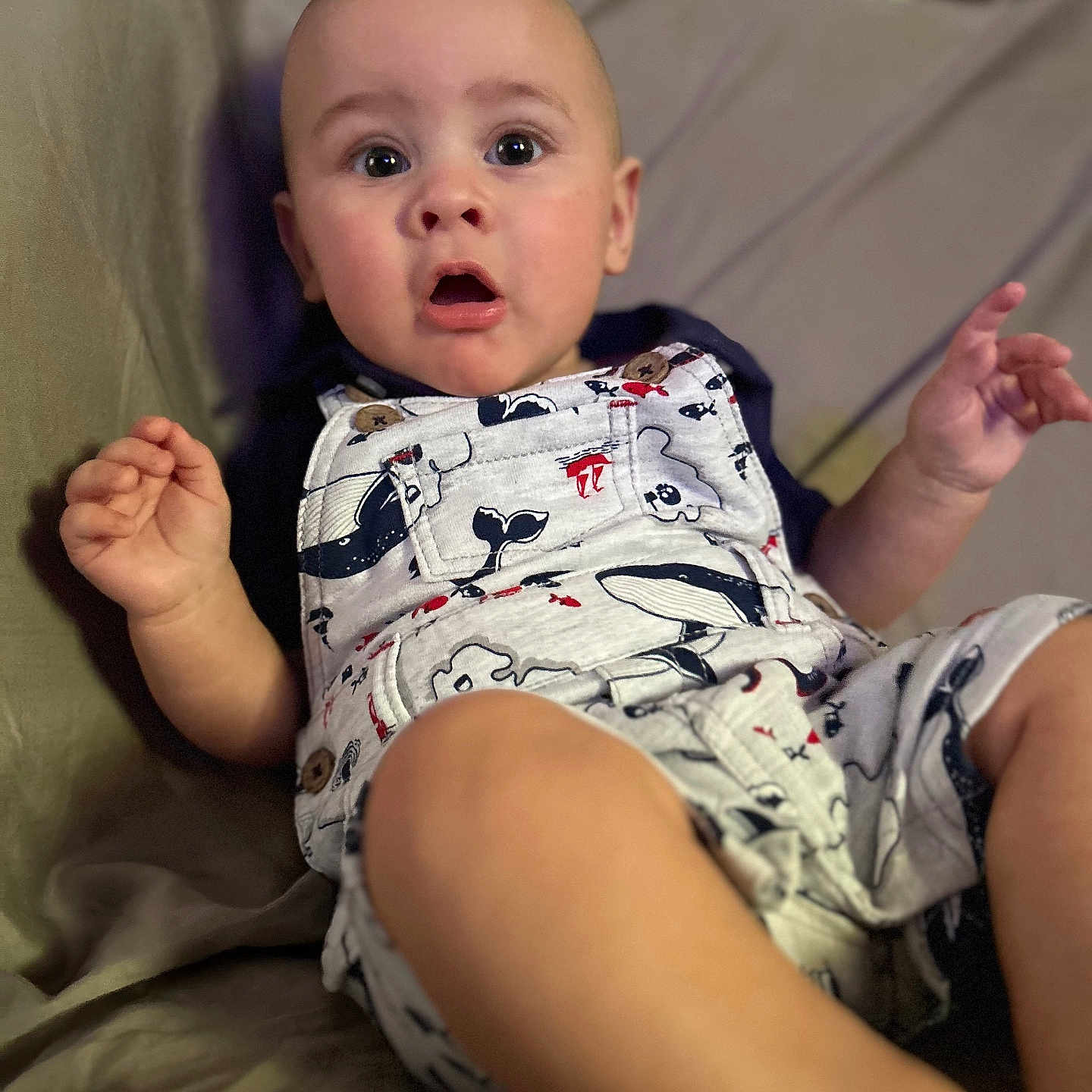 Atlas is registered to the contest to win money with this photo: arm, baby, bodypart, clothing, couch, cushion, face, finger, furniture, hand, head, homedecor, newborn, pants, person, photography, portrait, shorts, sitting, t_shirt