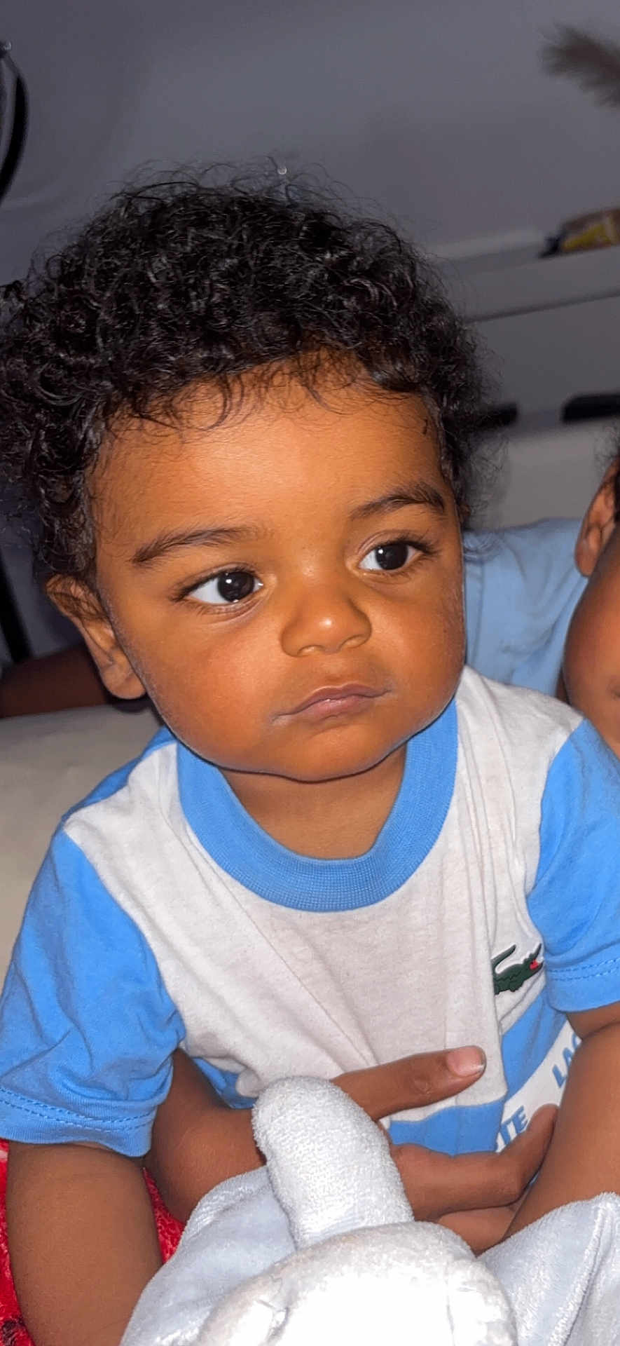 Aylan participe au concours pour gagner de l'argent avec cette photo : toddler, child, curly_hair, portrait, indoor, blue_shirt, white_shirt, person, cute, baby, face, expression, hand, soft_toy, closeup, young_child, looking_away, skin, eyes, holding