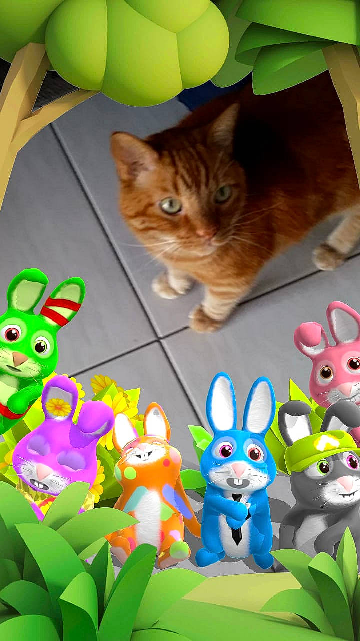 Caramel a rejoint le concours — aidez-le/la à gagner de superbes lots ! animal_figure, baby_toys, balloon, carnivore, cat, cat_supply, domestic_rabbit, easter, felidae, organism, pet_supply, rabbit, rabbits_and_hares, small_to_medium_sized_cats, snout, toy, vertebrate, whiskers