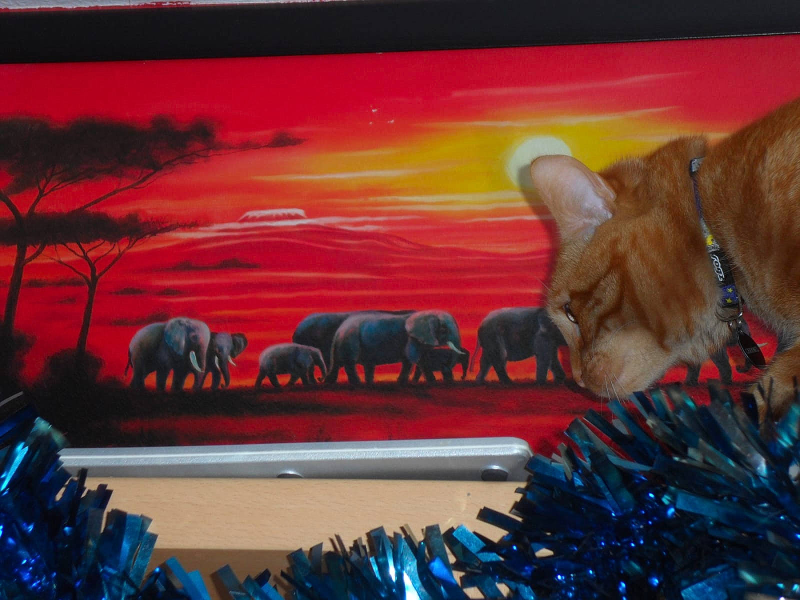 Caramel a rejoint le concours — aidez-le/la à gagner de superbes lots ! acrylic_paint, african_elephant, art, art_paint, artwork, canidae, drawing, elephants_and_mammoths, felidae, herd, illustration, modern_art, paint, painting, rhinoceros, terrestrial_animal, vertebrate, visual_arts, wildlife