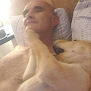 Arone a rejoint le concours — aidez-le/la à gagner de superbes lots ! man, dog, bed, pillow, paw, indoor, blur, close_up, relaxing, playing, light, wooden_wall, casual, human, pet, comfort, resting, skin, expression, interaction