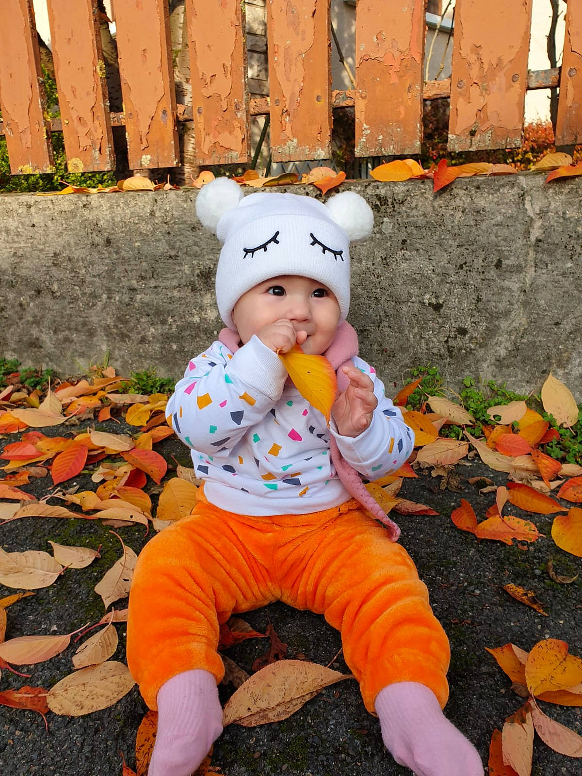 Alessia Iris a rejoint le concours — aidez-le/la à gagner de superbes lots ! baby, baby_toddler_clothing, calabaza, cap, child, fence, fun, grass, happy, headwear, leaf, leisure, orange, outerwear, people_in_nature, person, photograph, plant, pumpkin, sitting