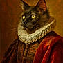 Smokey is registered to the contest to win money with this photo: cat, portrait, regal, costume, ruffled_collar, yellow_eyes, black_cat, animal, furry, whiskers, historical_clothing, renaissance_style, artistic, painting_style, noble, elegant, fur, closeup, indoor, dramatic_lighting