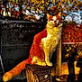 cat, orange_cat, white_cat, tree_stump, autumn, fall_leaves, outdoor, sunlight, fence, nature, animal, pet, mammal, fur, sitting, alert, portrait, daylight, background, colorful
