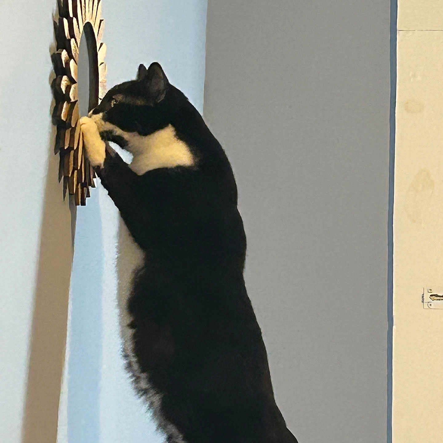 Xena