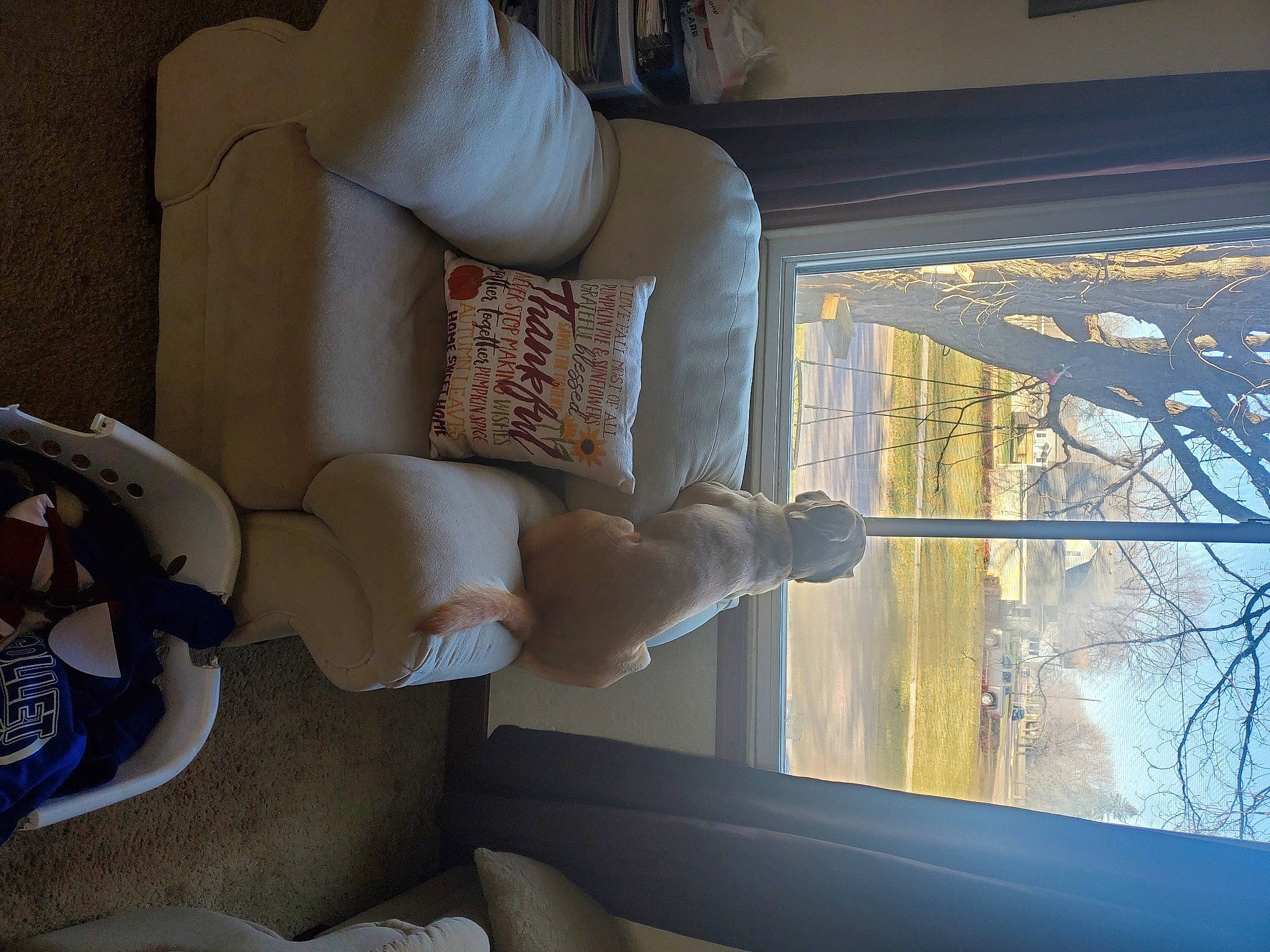 Buck is registered to the contest to win money with this photo: architecture, art, glass, human_leg, interior_design, knee, plaster, room, sash_window, sculpture, shade, statue, textile, thigh, tints_and_shades, toy, vehicle_door, window, window_treatment, wood