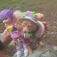 Naynay joined the competition — help win amazing prizes! accessory, blurred_background, chihuahua, close_up, collar, costume, cute, dog, doll, hand, hat, helmet, leash, outdoor, pet, portrait, rock, skates, small_dog, toy_doll