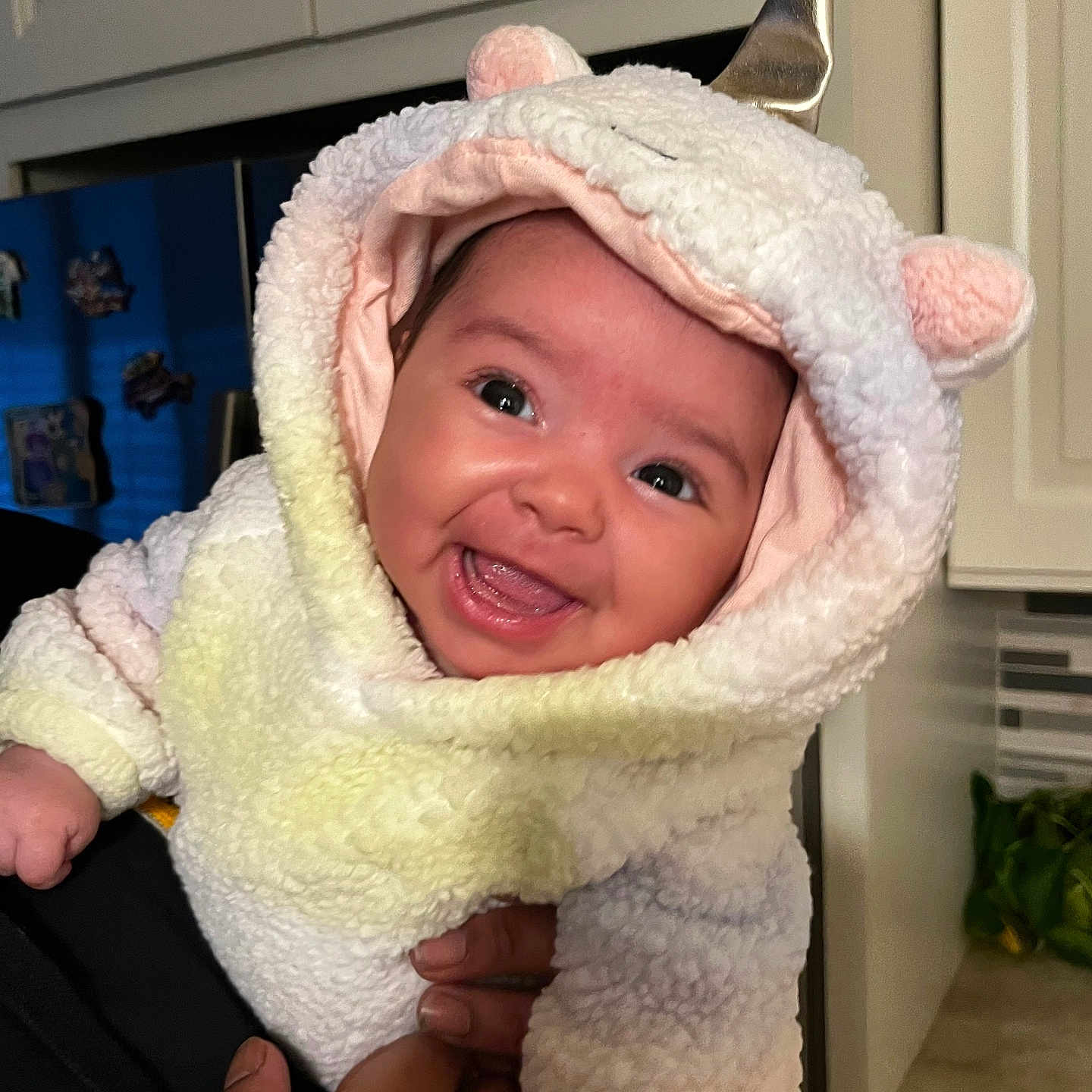 Mia is registered to the contest to win money with this photo: baby, bonnet, cap, clothing, coat, face, happy, hat, head, hood, hoodie, jacket, knitwear, newborn, person, photography, portrait, sweater, sweatshirt, towel