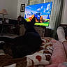 Marley joined the competition — help win amazing prizes! dog, television, animated_show, blanket, sock, foot, indoor, curtains, lamp, guitar, table, picture_frame, wooden_furniture, relaxation, pet, watching, ears, living_room, cozy, daylight