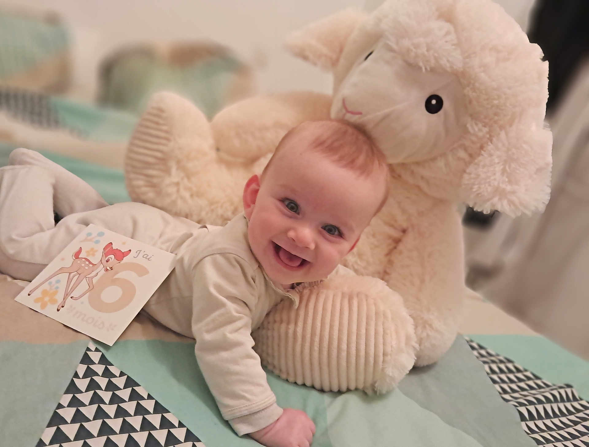 Tiago participe au concours pour gagner de l'argent avec cette photo : baby, smiling, stuffed_animal, sheep_toy, quilt, blanket, card, milestone, infant, cute, happy, crawling, indoors, child, face, portrait, soft_toy, clothing, head, toddler
