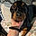 Xena