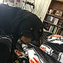 Xena joined the competition — help win amazing prizes! animal, bed, bedroom, bird, blanket, bookcase, canine, cat, couch, dog, furniture, homedecor, hound, indoors, interiordesign, penguin, pet, puppy, room, shelf