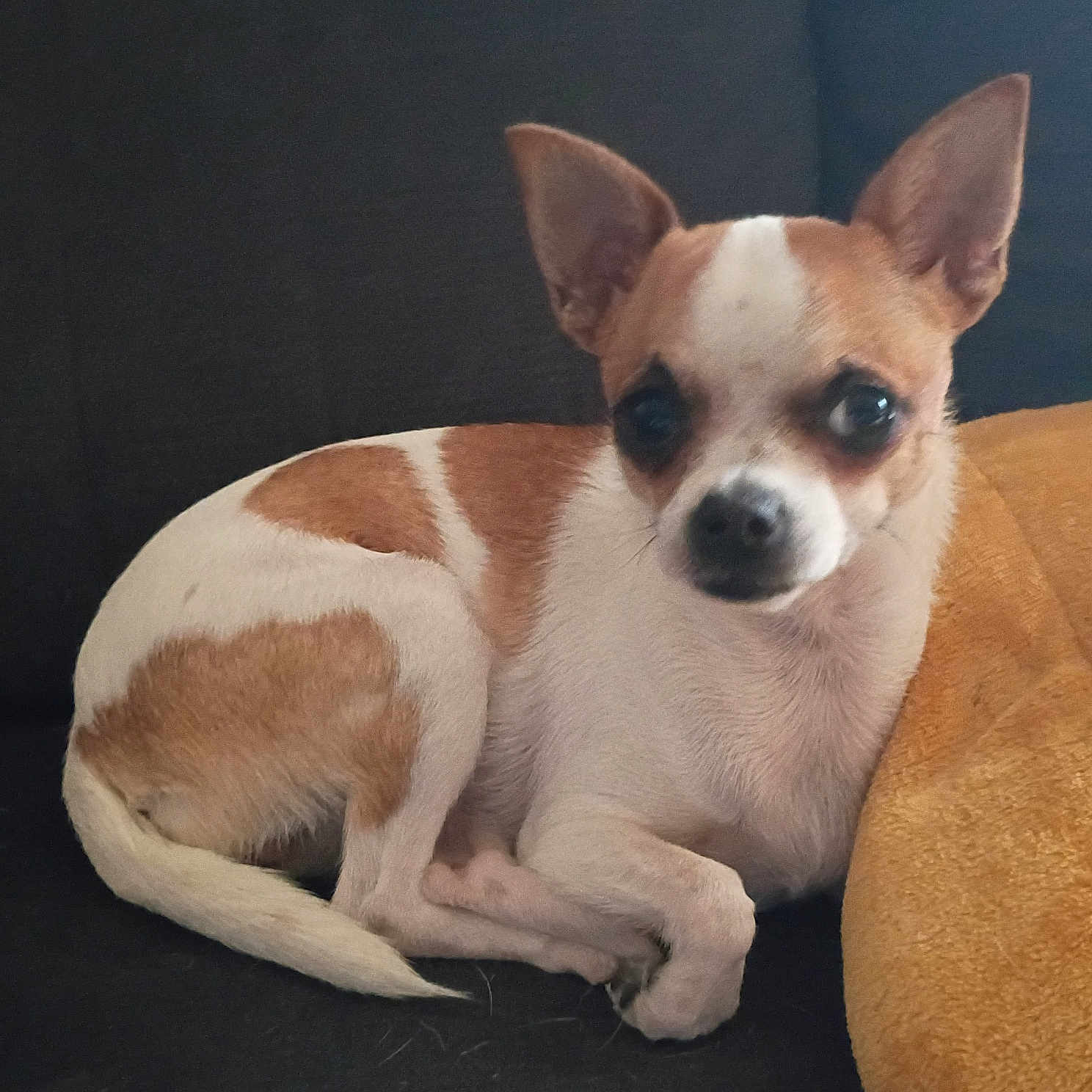 Pepa
