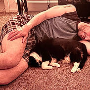 Alexa joined the competition — help win amazing prizes! person, dog, sleeping, cuddling, carpet, indoor, home, nap, relaxed, black_and_white_dog, fluffy, pet, human, lying_down, shorts, shirt, plaid, cozy, living_room, portrait