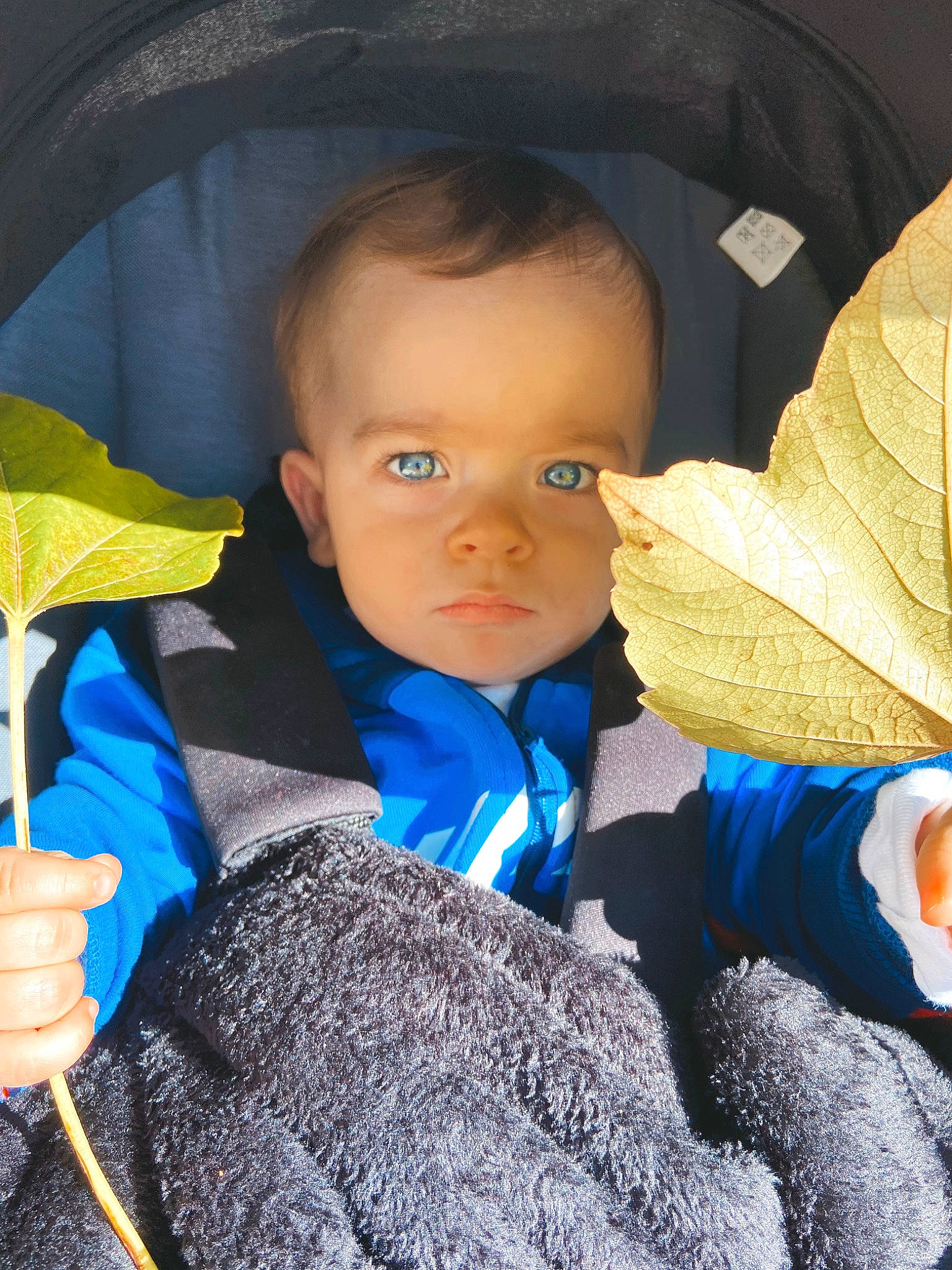 Brayden a rejoint le concours — aidez-le/la à gagner de superbes lots ! azure, baby, baby_products, baby_toddler_clothing, beauty, cheek, child, chin, comfort, electric_blue, eye, facial_expression, fun, happy, human, iris, leaf, outerwear, person, skin